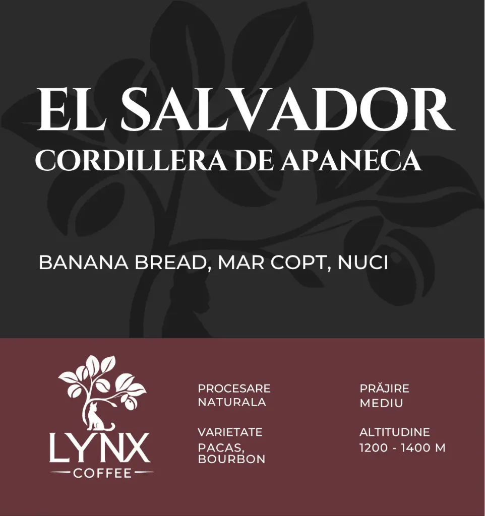 El Salvador Cordillera de Apaneca cafea boabe