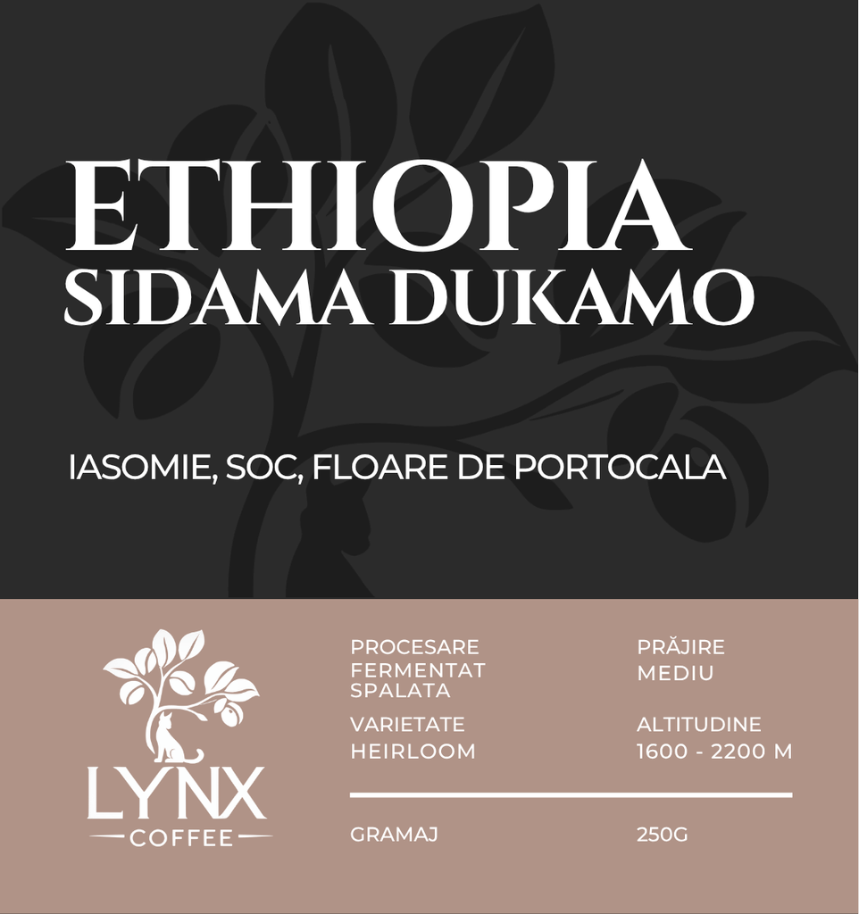 Ethiopia Sidama cafea boabe